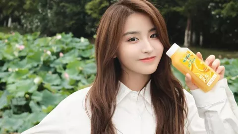 一人一车一猫走南闯北