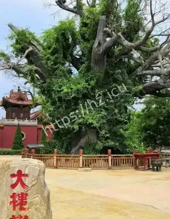 石家庄灵异事件